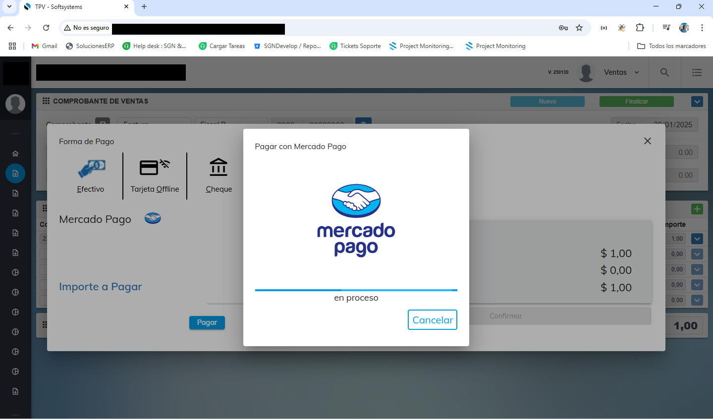 Terminal Punto de Venta Web (TPV Web)